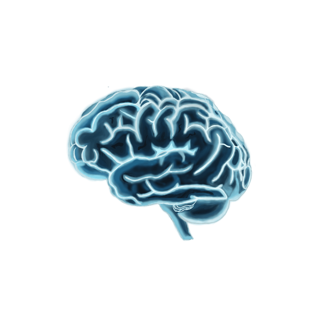 The focus flow brain